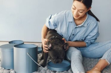 elegant-woman-blue-shirt-with-black-bulldog-min