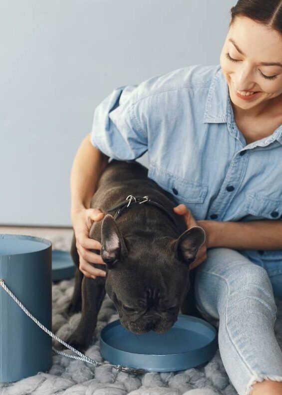 elegant-woman-blue-shirt-with-black-bulldog-min